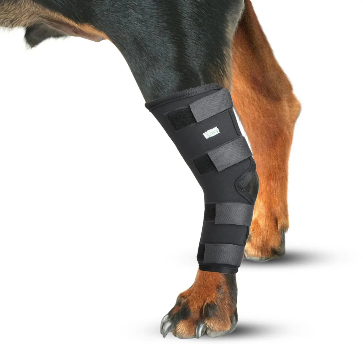 Сонник ноги собак. Бандаж для ноги собаки. Защитное снаряжение собаки. Фиксатор для ног собаки. Налокотники для крупных собак.