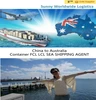 20ft container sea freight ShenZhen to fremantle perth