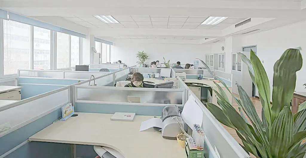  (2).jpg