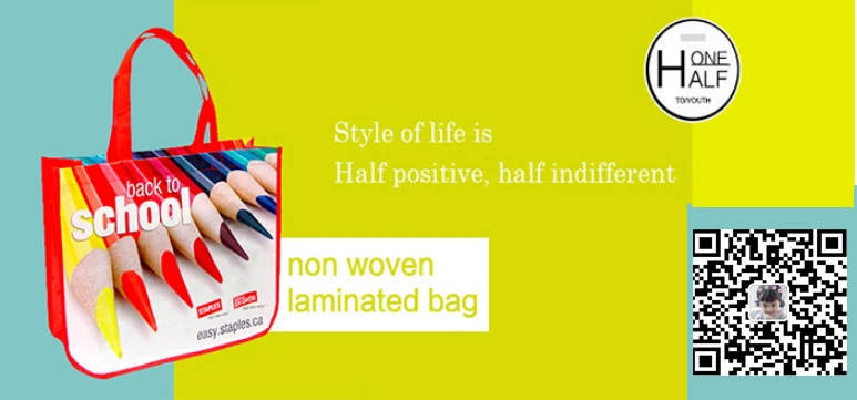Reusable Laminated Non Woven Bag