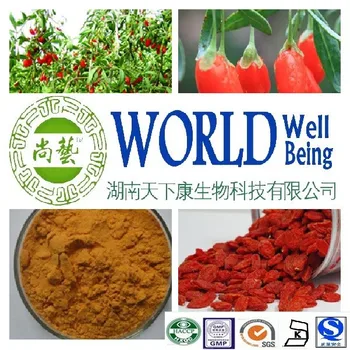 goji berry onde comprar,onde comprar goji berry,comprar goji berry,goji berry comprar,belly burner goji berry,goji berry em cápsulas,goji berry emagrece rapido,cha de goji berry,goji berry capsula,saúde,saude,bem-estar,bem estar,alimentação saudável,frutas,banana,maça,limão,pera uva,emagrecer,secar barriga,emagrece,seca barriga,perder peso