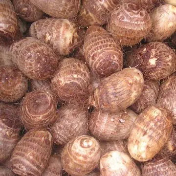 
Chinese Taro 