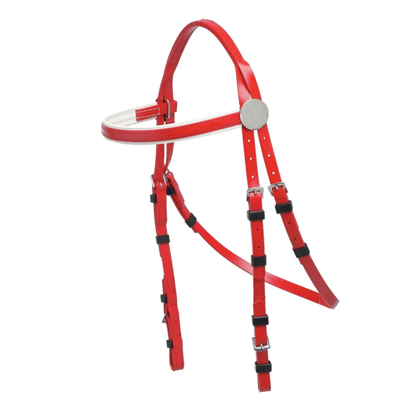 Customized yellow designer horse halters
