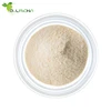 NON-GMO 90% Isolated Soy Protein Soy Protein Isolate Cas no:9010-10-0