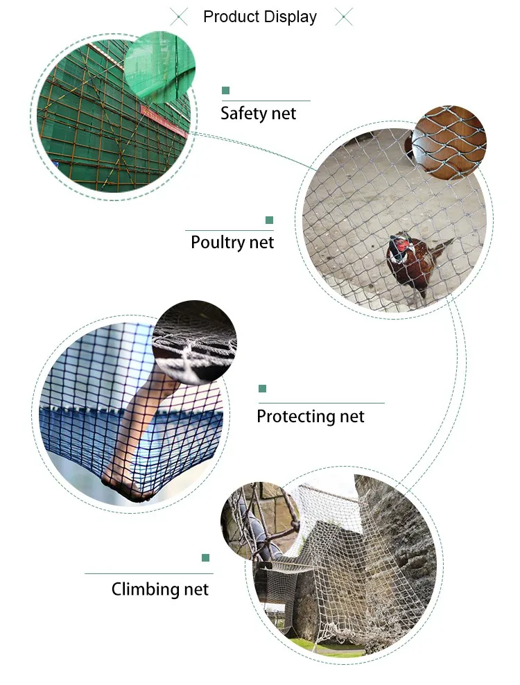 Plastic Utility Netting Protecting Crops From Birds Buy Plastic Crop