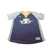 OEM polyester pullover 2 button baseball jersey
