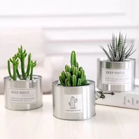 

Wholesale custom empty desktop steel metal mini metal plant cactus pot