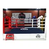 2018 Hot Sale Custom Canvas MMA fighting Boxing Ring thai Boxing Ring