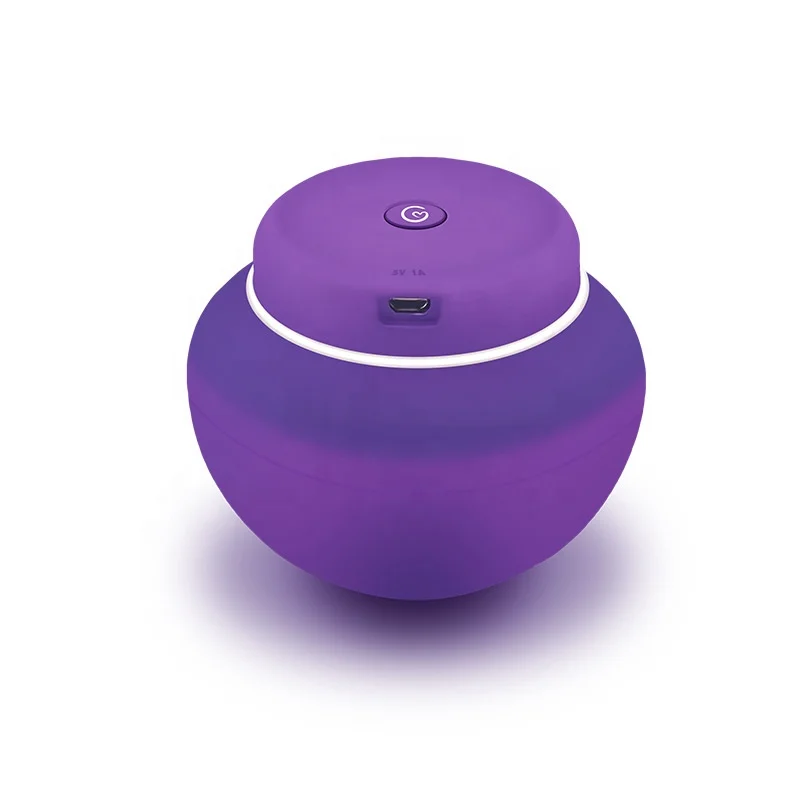 

Healthy Baby OEM Light Portable UV Pacifier Sterilizer