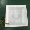 Vacuum formed custom plastic container