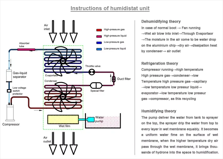 DJHF-3-4.png