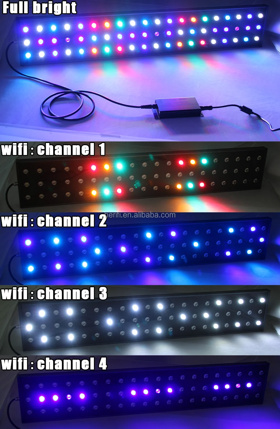 sunrise sunset (7).jpg