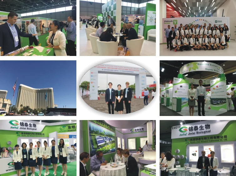 pea protein feed grade