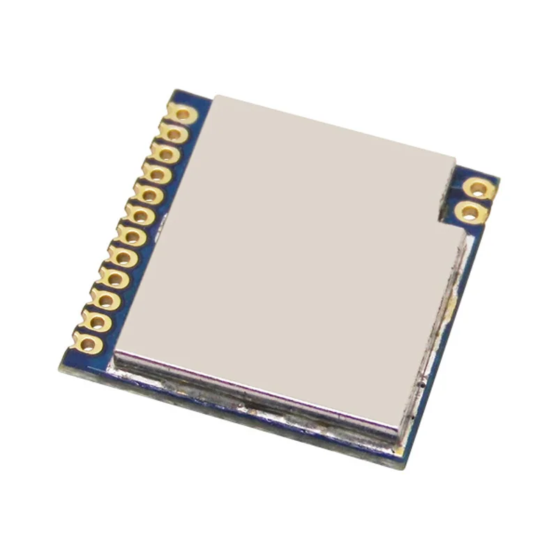 lora-C1 3.jpg