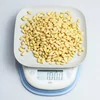 Pine Nut Kernels Price / Pine Nut Kernels / Pine Nut Organic