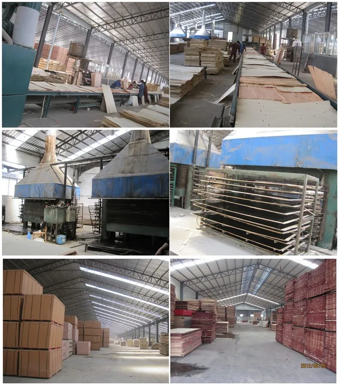 film faced plywood factory