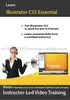 Mastering Adobe Illustrator CS3 Training Course