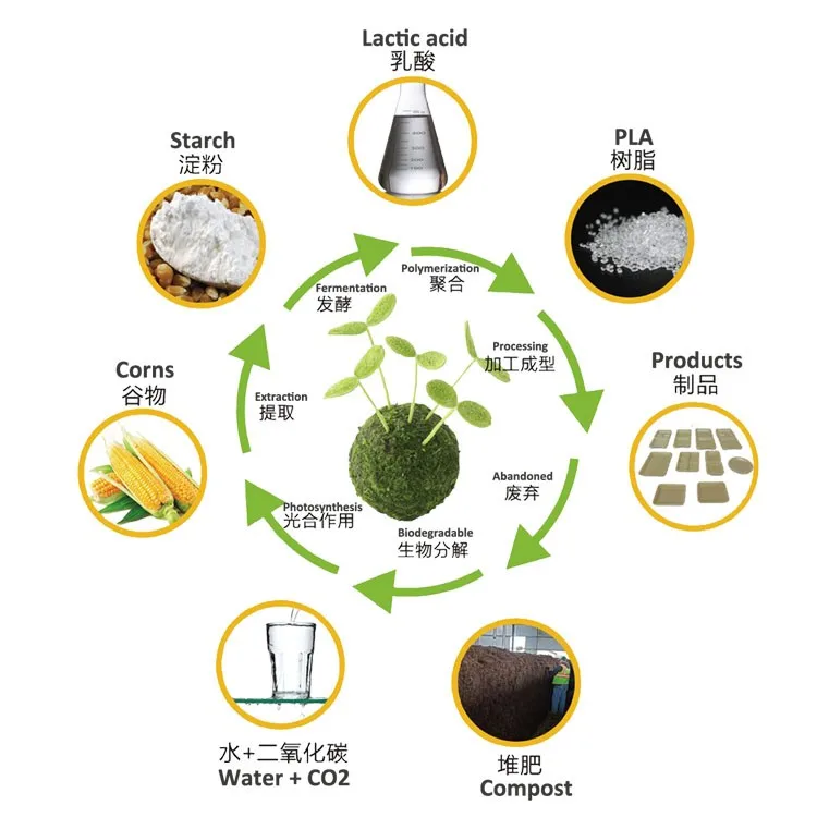 Heatresistant Pla Plastics Biodegradable Compostable Cpla Disposable