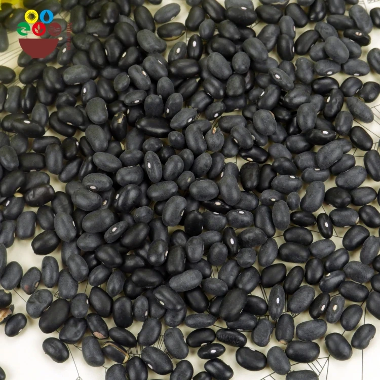 19120218 grade a black kidney beans best price_5