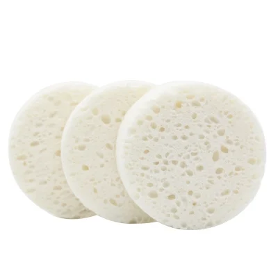 cellulose sponge 3.png