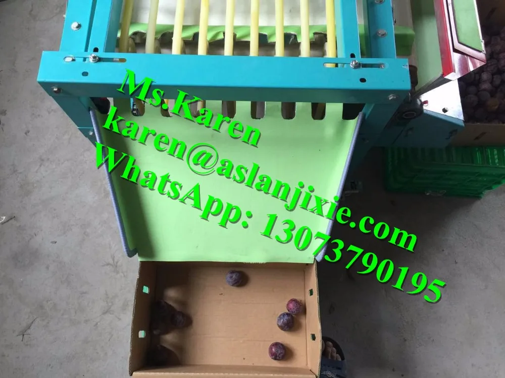 Citrus Sorter Machine For Sale / Size Grading Machine / Fruit Sorting