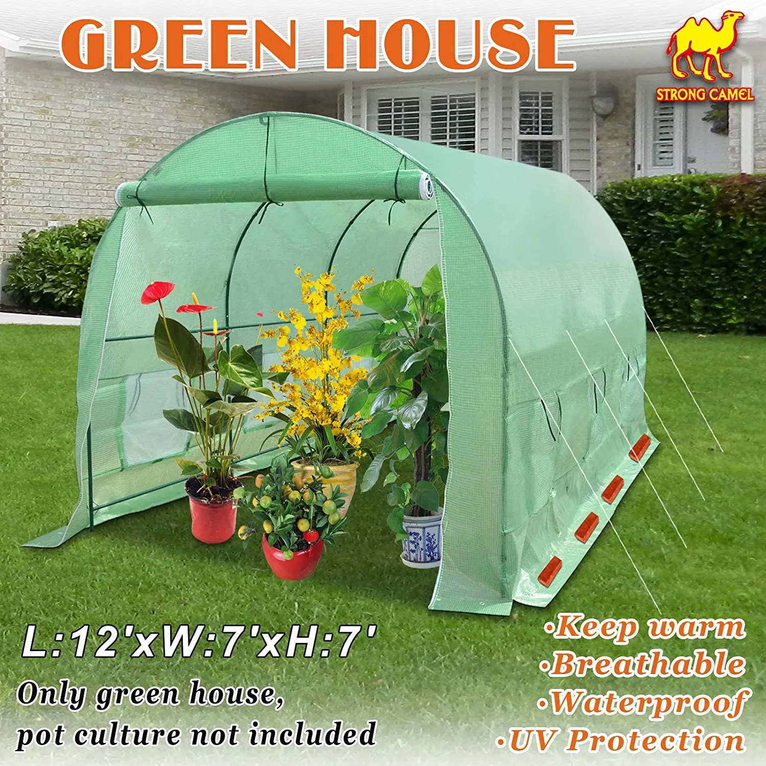 Strong Camel Mini Outdoor Greenhouse Portable Green Hot House 96 WX 36 D X 36 H, PVC Cover