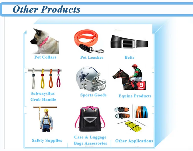 Durable and Cleanable TPU/PVC Coated Webbing for Suitcase Travel Belt