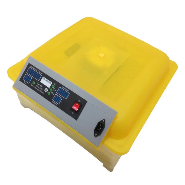 Professional Reptile Incubator Small Tortoise Egg Incubator For Sale