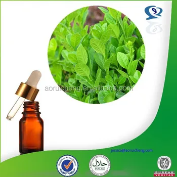 Wintergreen Oil Winter Green Oil Gaultheria Oil Buy Minyak Gandapura Musim Dingin Hijau Minyak Gaultheria Minyak Product On Alibaba Com