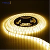 12V 2700K Warm White Decoration 5M Flexible LED Strip Lighting