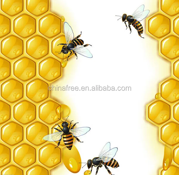 honey extractor (2).jpg