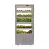 /product-detail/hydroponic-microgreens-growing-kit-grow-micro-greens-baby-salad-indoor-62055643304.html