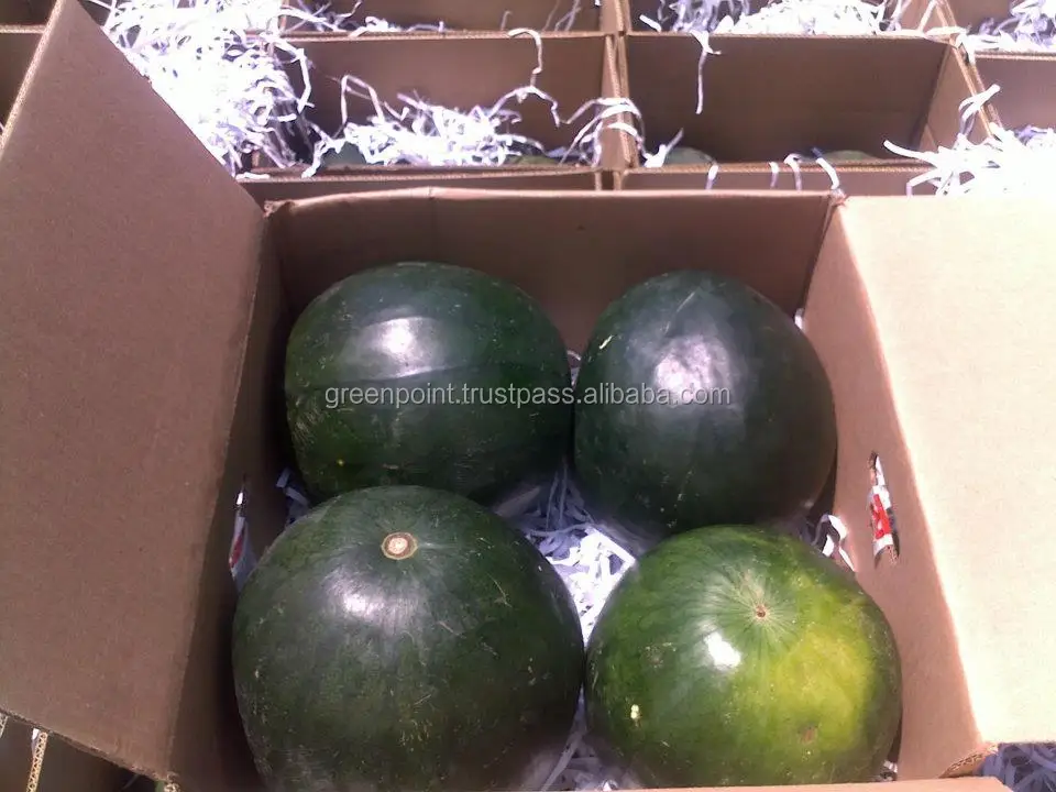 
Fresh Watermelon 