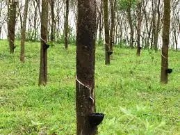 indonesia natural rubber