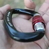 Aluminum Carabiner D Shape Buckle Pack, Keychain Clip, Spring Snap Key Chain Clip Hook Screw Gate Buckle