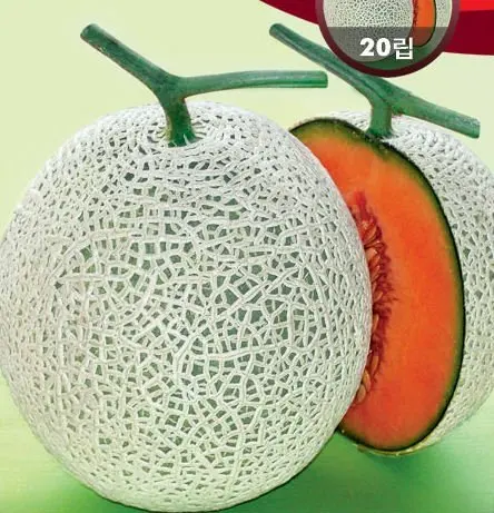 Red Fox Melon Product On Alibaba