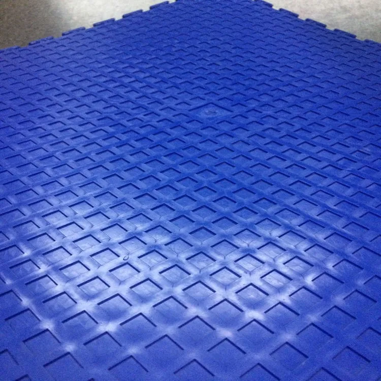 Interlocking Garage PVC Flooring Tiles.JPG