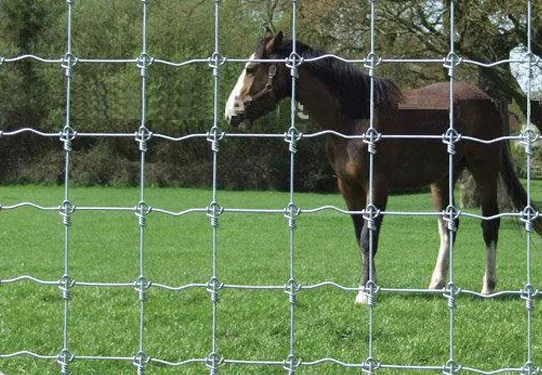 No Climb Horse Mesh Rail Fencing 48 Supplies In Anping - Buy No Climb ...