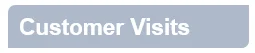 Customer Visits