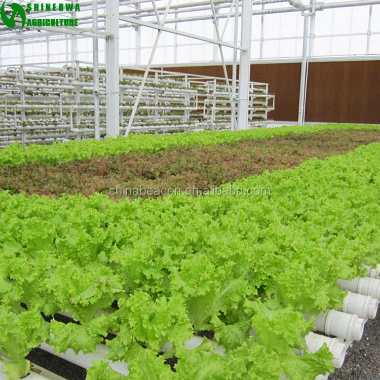 
Commercial PVC Hydroponic Grow Systems For Sale 
