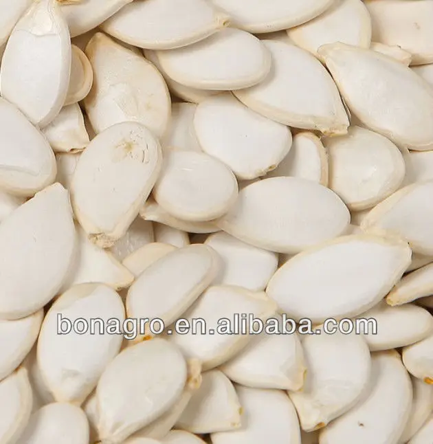 SNOW WHITE PUMPKIN SEEDS-1
