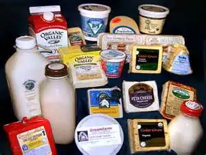 dariy food.jpg
