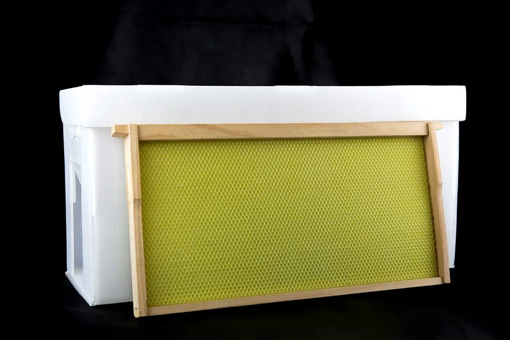 塑料蜂箱 nuc 盒 5 框架养蜂