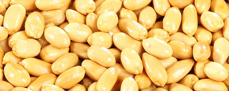 roasted peanuts 3.jpg