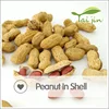 Manufacturer 1kg price peanuts in shell