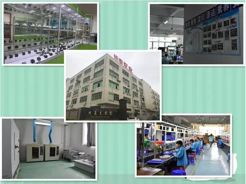 company information W2.jpg