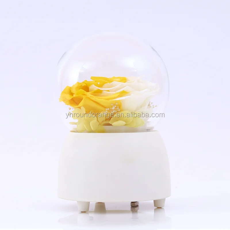 music box1.jpg