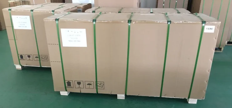 paste-pic-dp_uuid_rpq0i