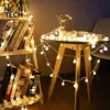 Christmas Tree Wedding Led Ball String Lights