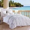 2019 New Design Print Bicolour Microfiber Quilt Duvet Down Alternative Comforter